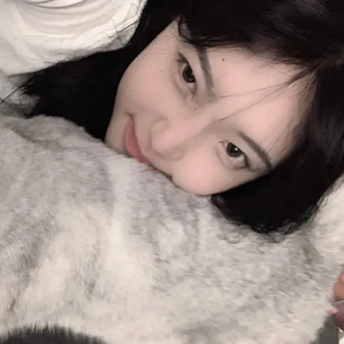 猎爱陷阱 封面