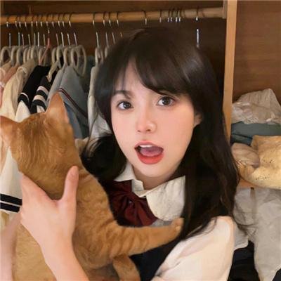 反斗灵猫 封面