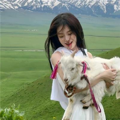 这个杀手不太冷静 封面