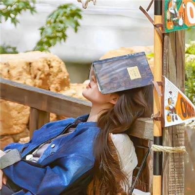 女佣变凤凰 封面